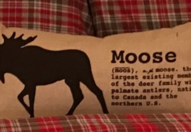 House in Red Lodge - Moose on the Loose